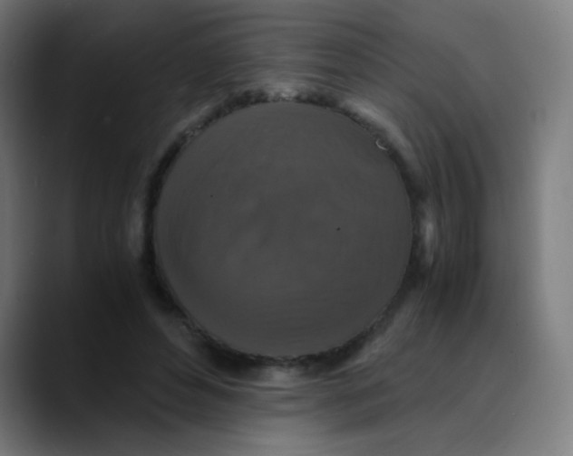X0000089730496200707121452