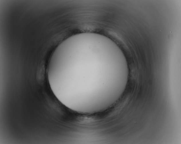 X0000089730498200707121451