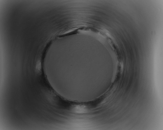 X0000089730500200707121451