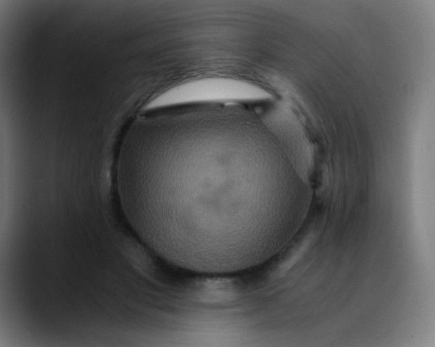 X0000089730501200707121451