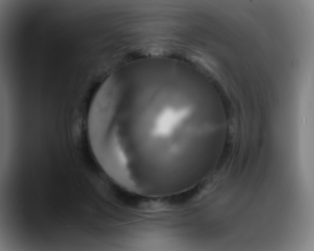 X0000089730503200707121451