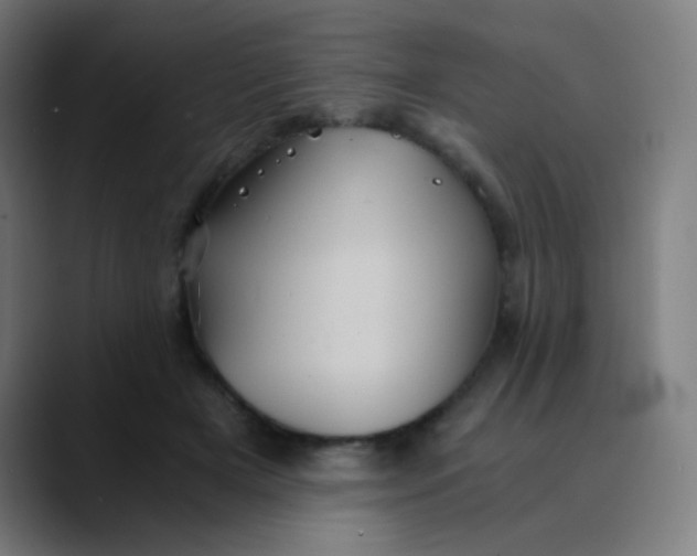 X0000089730505200707121451