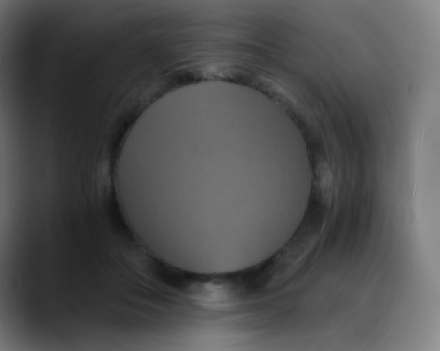 X0000089730506200707121451