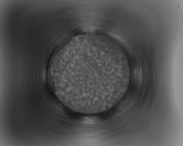 X0000089730508200707121451