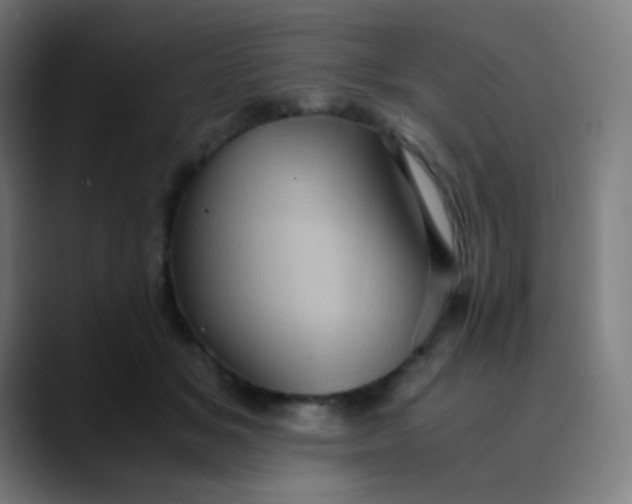 X0000089730509200707121451