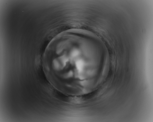 X0000089730511200707121451