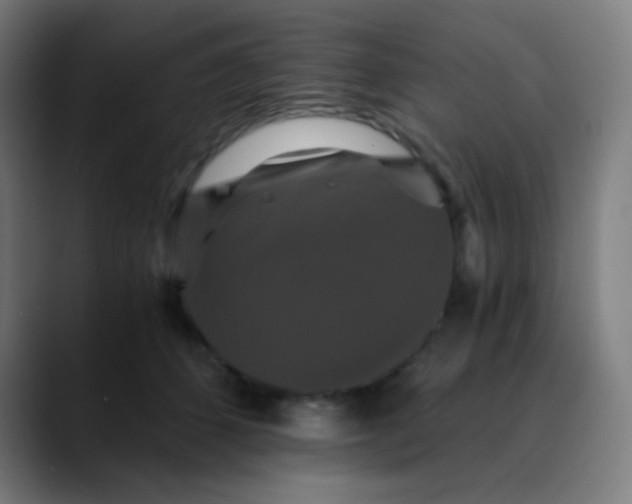 X0000089730512200707121451