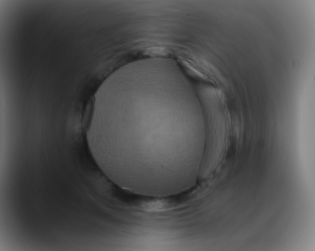 X0000089730513200707121451