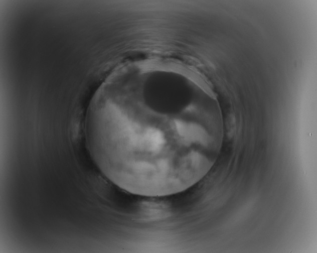 X0000089730515200707121451