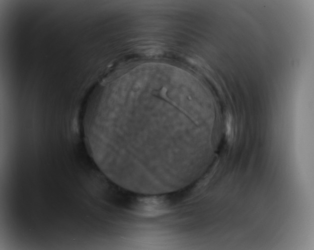 X0000089730516200707121451