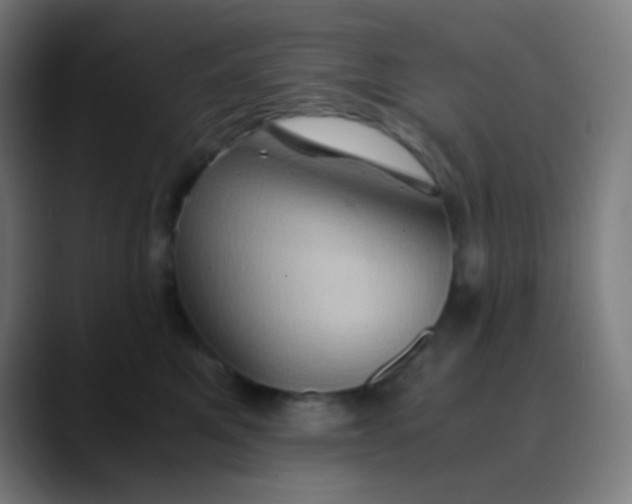 X0000089730521200707121451
