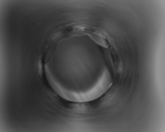 X0000089730524200707121451