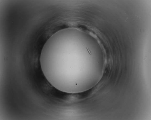 X0000089730525200707121451
