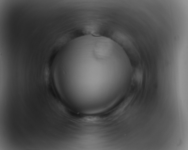 X0000089730526200707121451