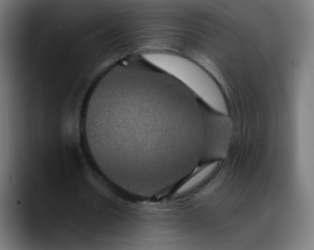 X0000089730530200707121451
