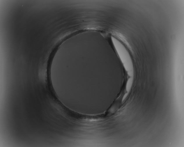 X0000089730531200707121451