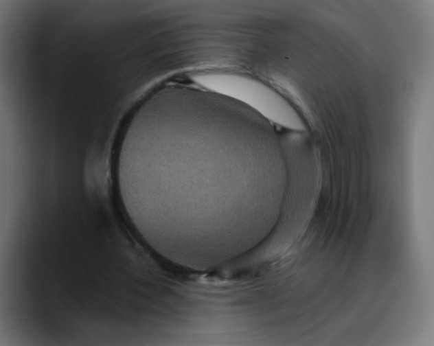X0000089730532200707121451