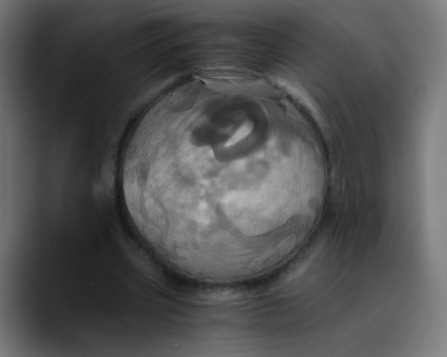 X0000089730533200707121451