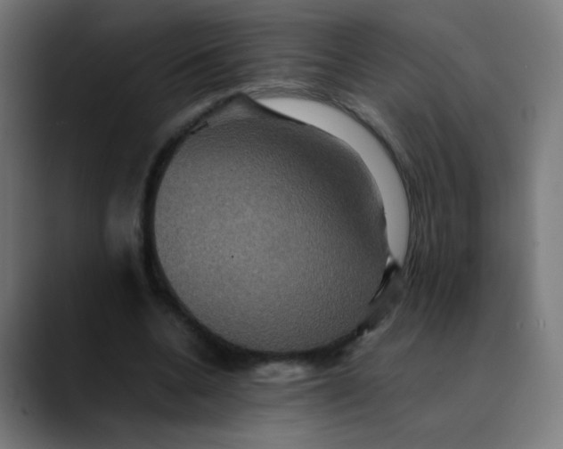 X0000089730536200707121451