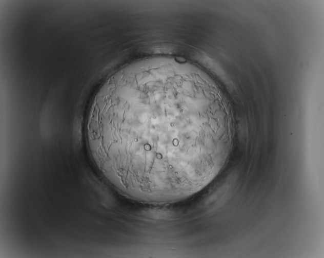 X0000089730537200707121451