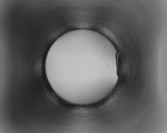 X0000089730538200707121451