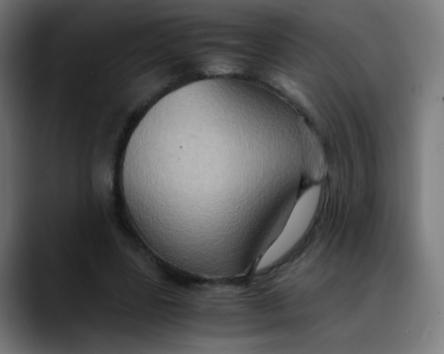 X0000089730539200707121451