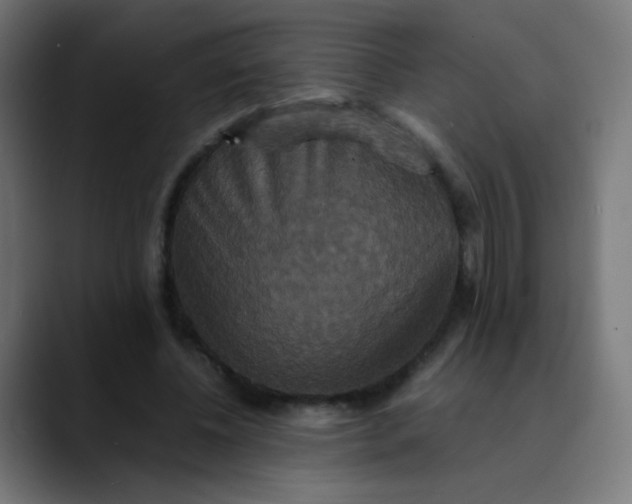 X0000089730540200707121451