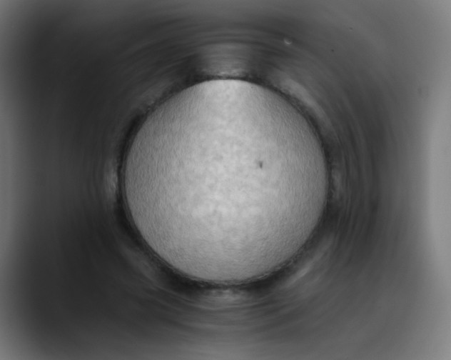 X0000089730541200707121451