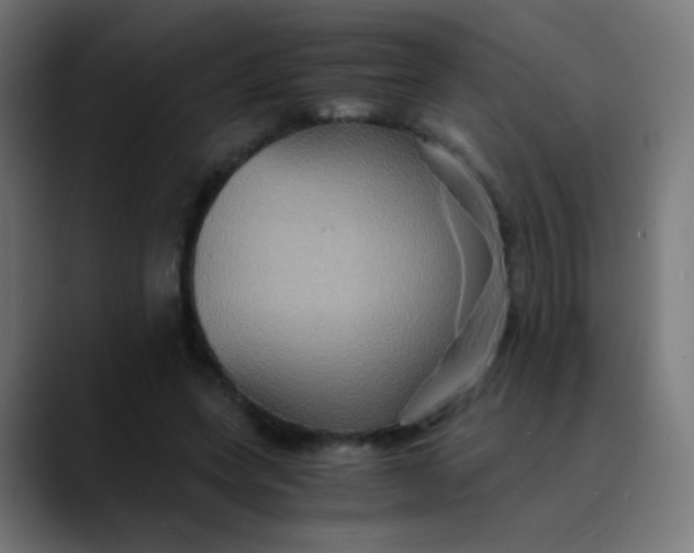 X0000089730543200707121451