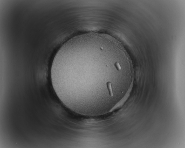 X0000089730544200707121451