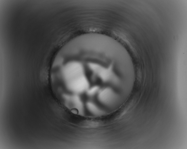 X0000089730545200707121451