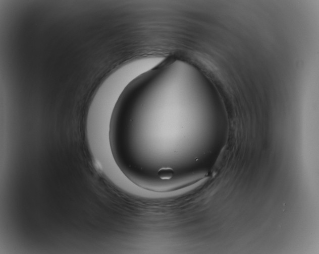 X0000089730546200707121451