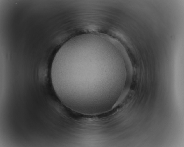 X0000089730548200707121451