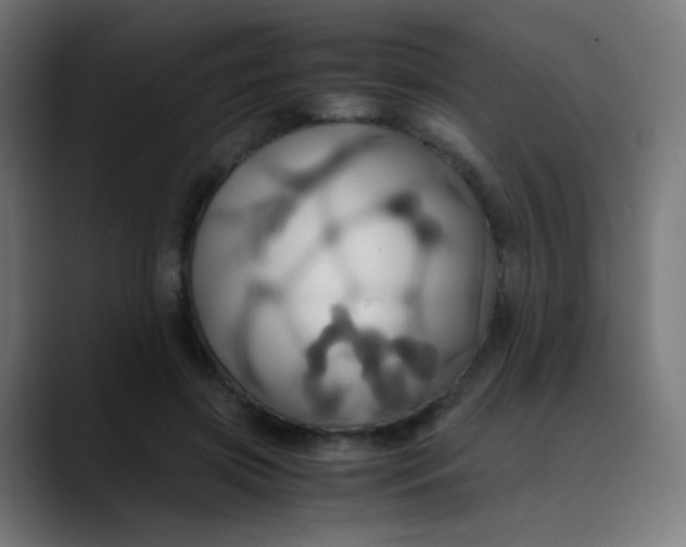 X0000089730549200707121451
