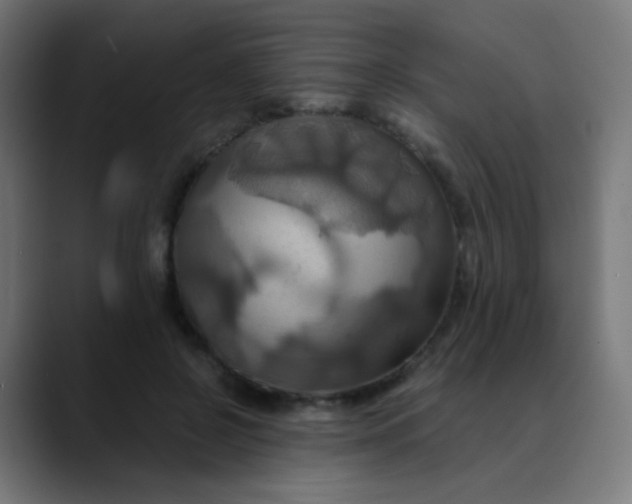 X0000089730550200707121451