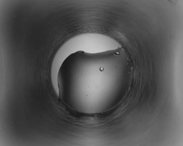 X0000089730552200707121451