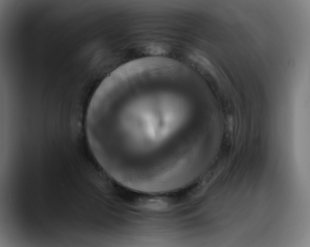 X0000089730553200707121451