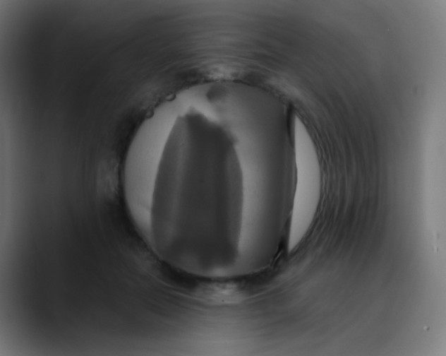 X0000089730554200707121451