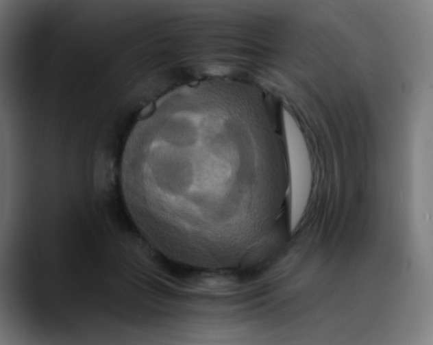 X0000089730555200707121451