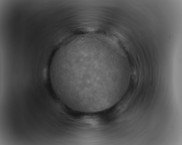X0000089730556200707121451