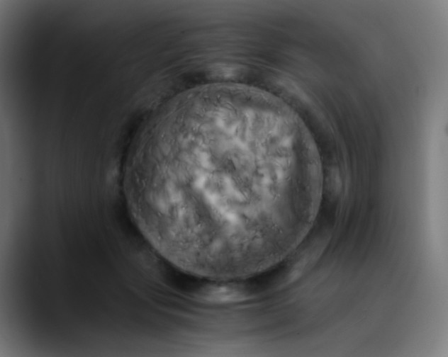 X0000089730557200707121451