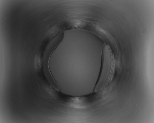 X0000089730558200707121451