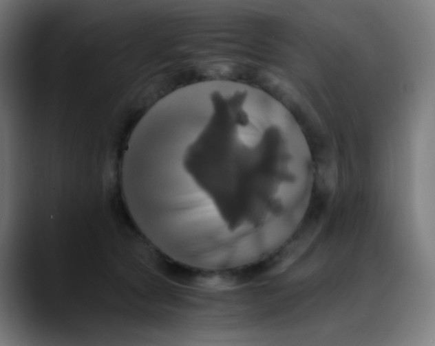 X0000089730561200707121451