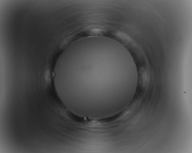 X0000089730562200707121451