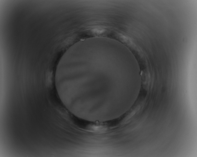 X0000089730563200707121451