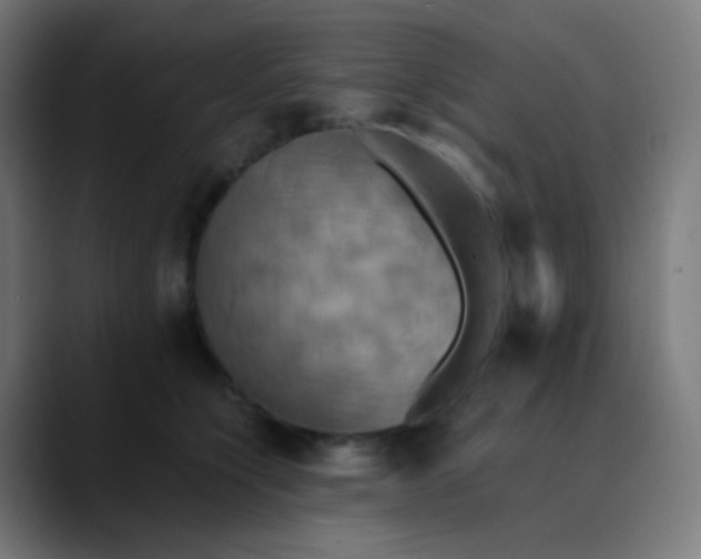 X0000089730564200707121451
