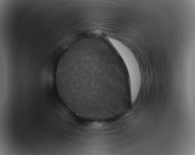 X0000089730566200707121451