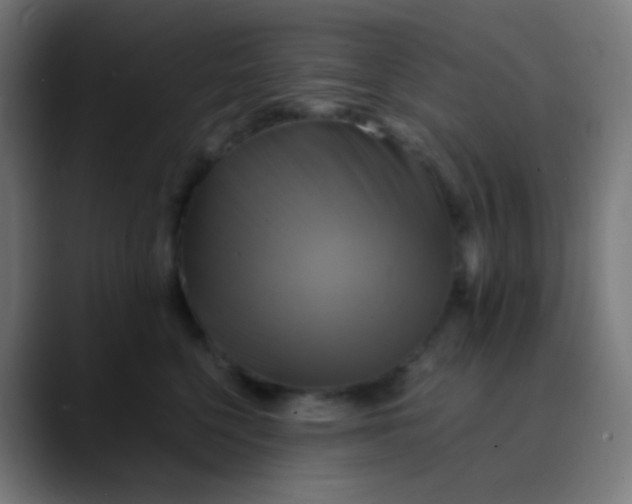 X0000089730568200707121451