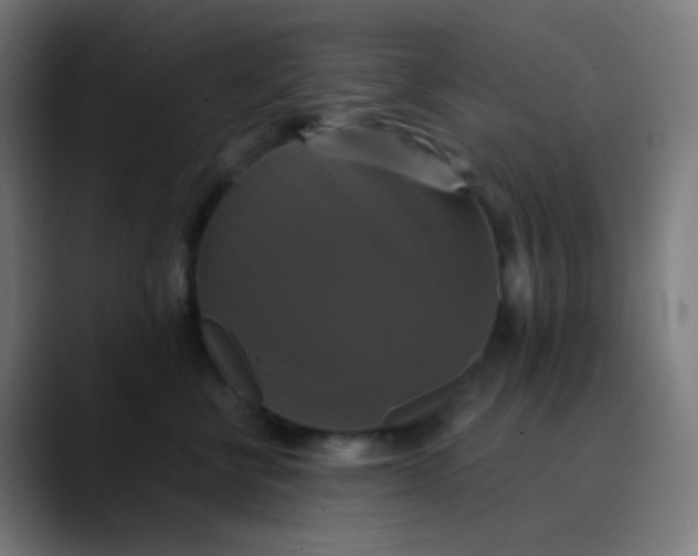 X0000089730570200707121451