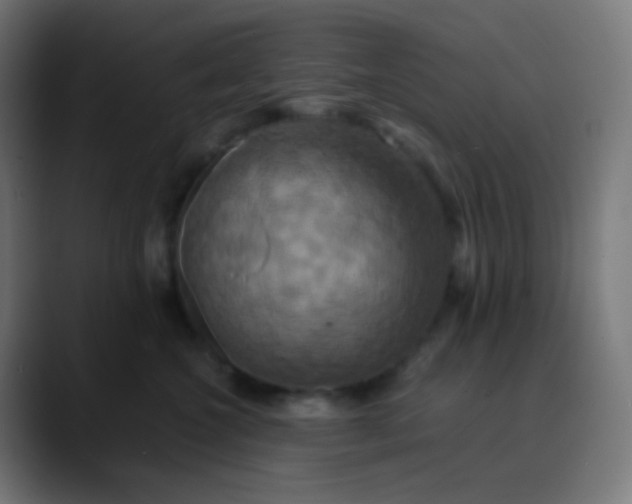 X0000089730572200707121451